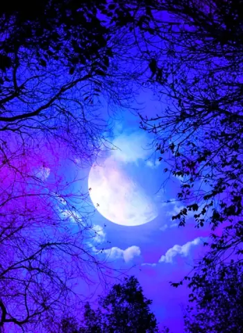 Фиолетовая ночь
